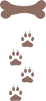 i7_brown img