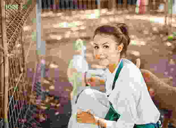 add2 img