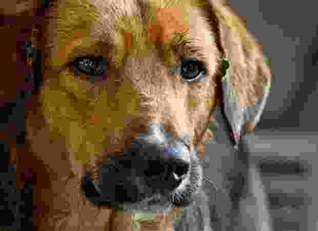 add3 img