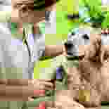 icon_img1 img