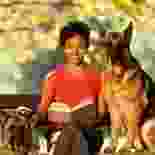 icon_img3 img