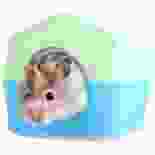 icon_img4 img
