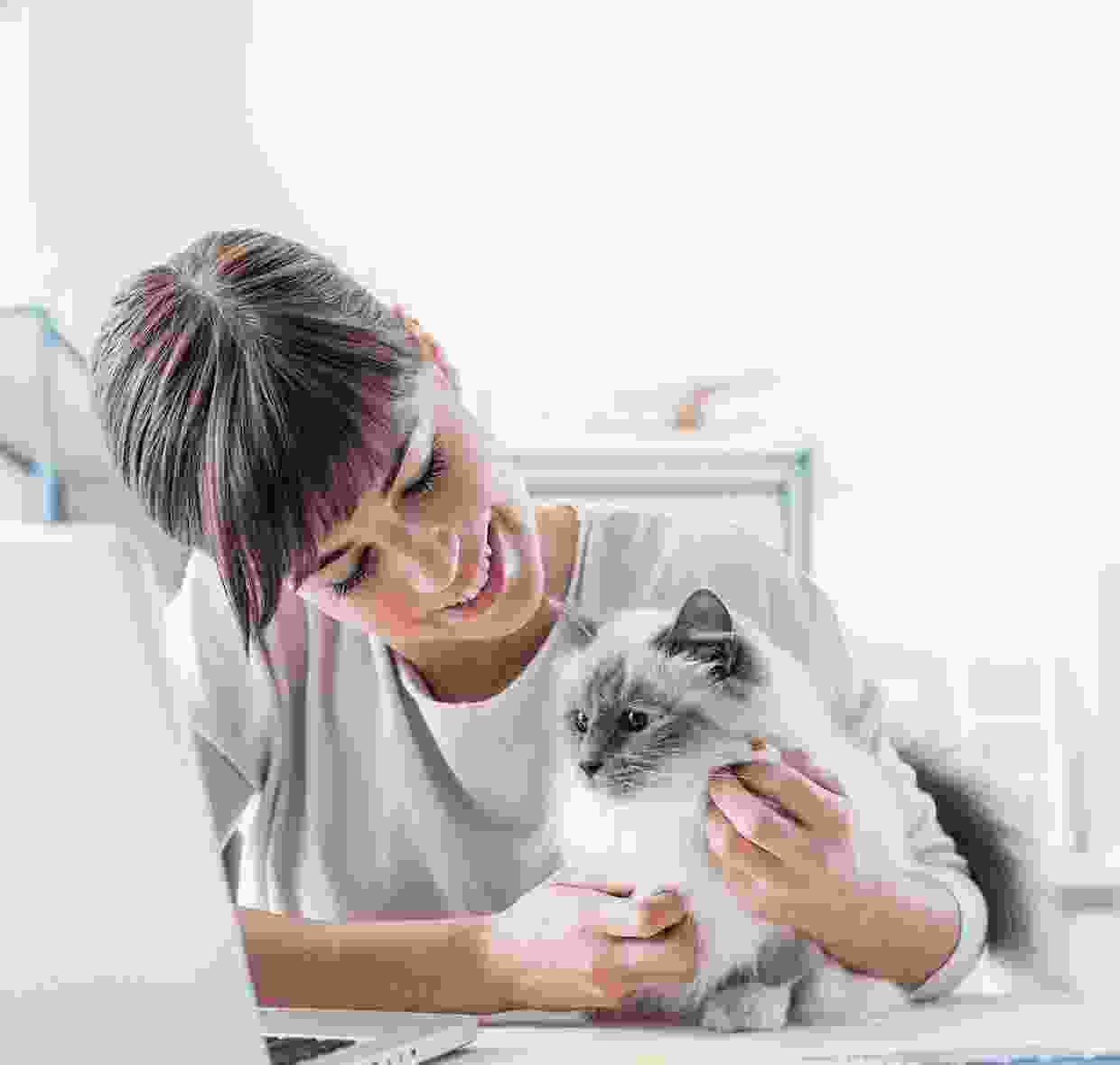 pet7