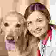 icon_img6 img